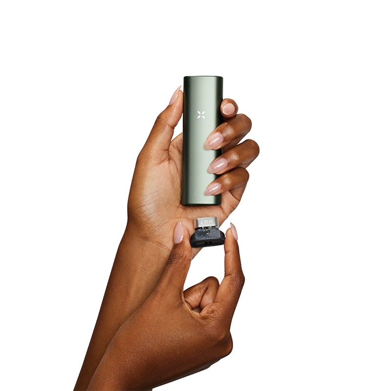 PAX Plus Vaporizer Vaporizers : Vaporizers Portable PAX Labs